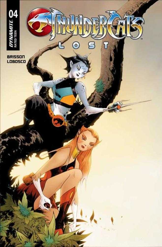 Thundercats Lost #4 Cover E Jae Lee Variant