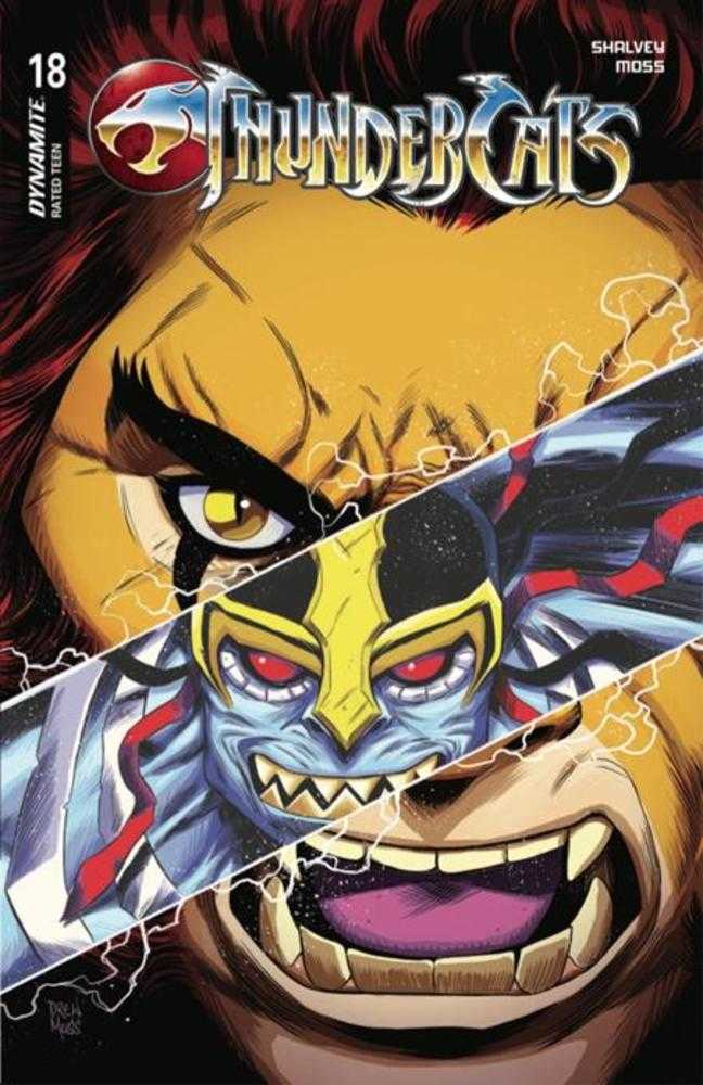 Thundercats #18 Cover D Drew Moss Variant