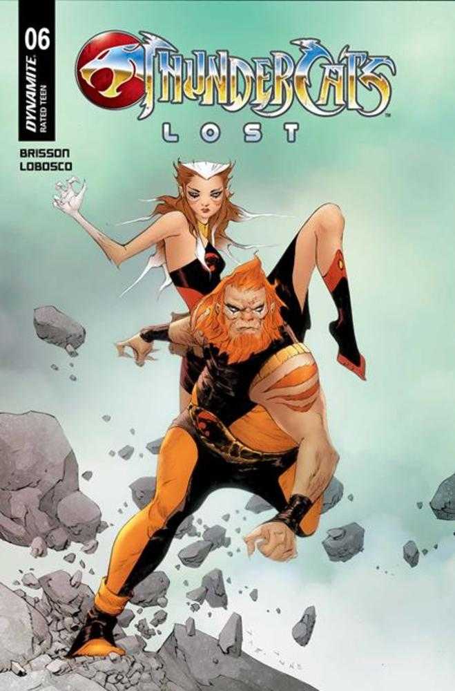 Thundercats Lost #6 Cover E Jae Lee June Chung Variant