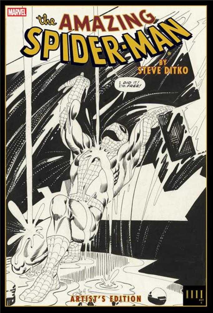 Amazing Spider-Man by Steve Ditko Artists Edition Hardcover Rain Cover