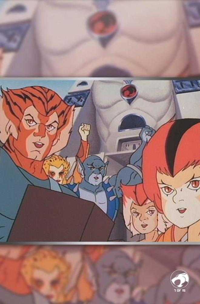 Thundercats X Silverhawks #3 Cover G Inc 1:10 Animation Art Full Art Variant