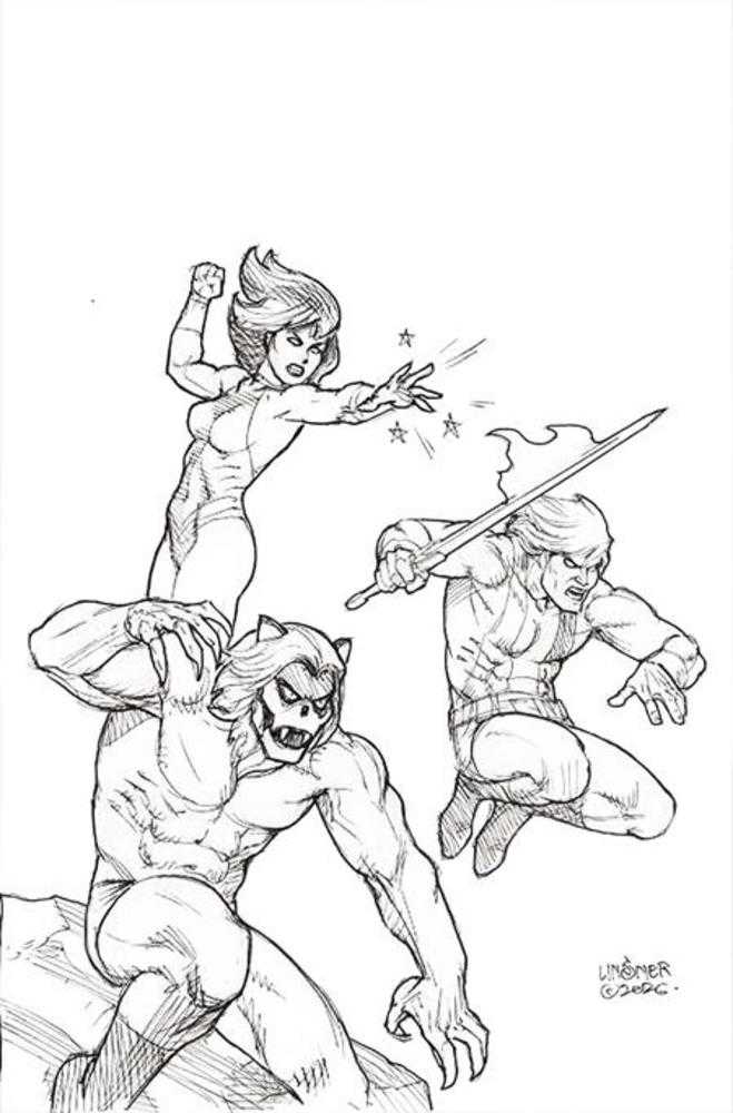 Thundarr The Barbarian #5 Cover M Inc 1:10 Joseph Michael Linsner Line Art Full Art Variant
