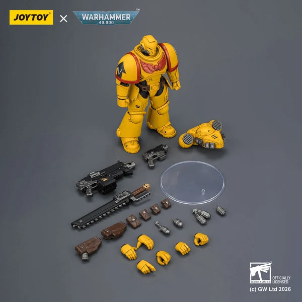 Imperial Fists Intercessor with Bolt Rifle, Bolt Pistol and Chainsword