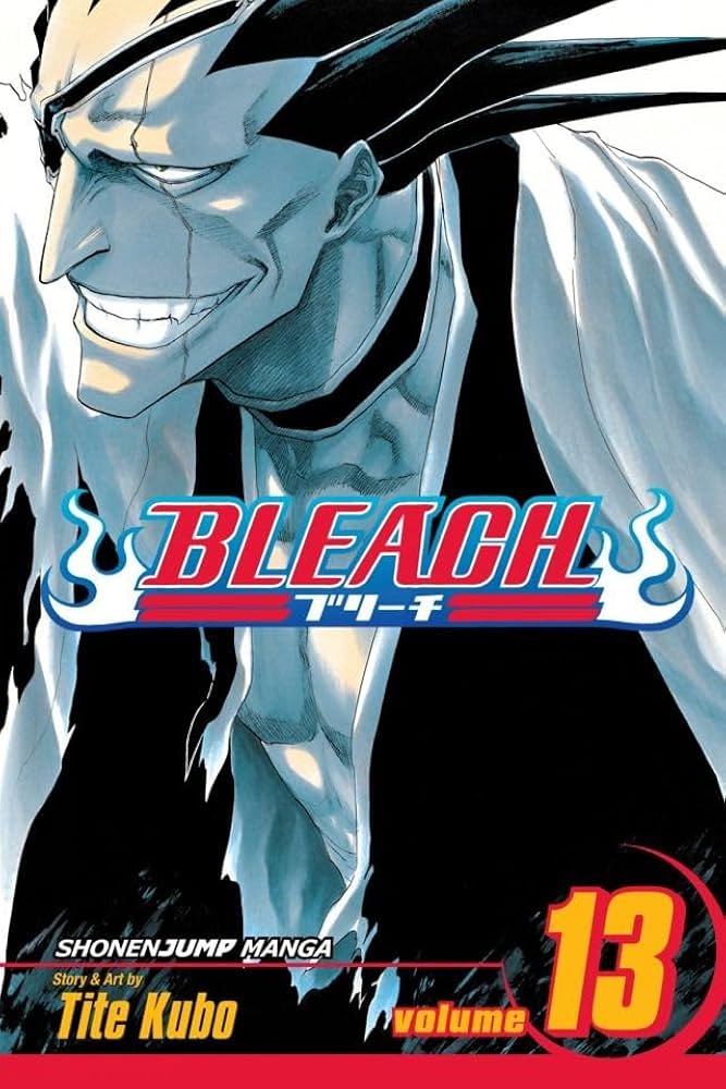 Bleach Manga Volume 13