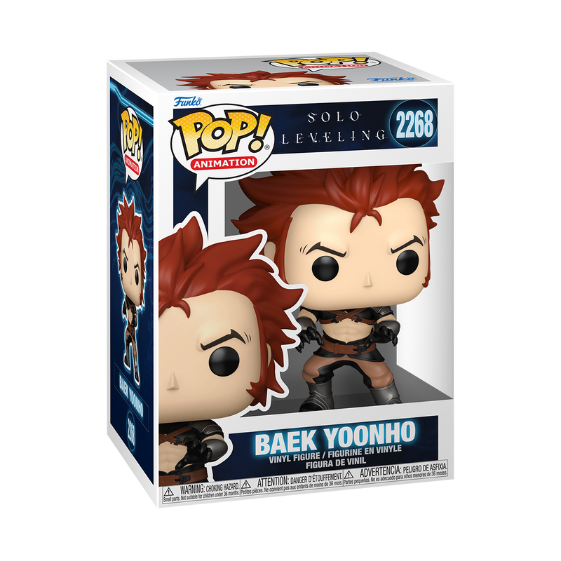Solo Leveling Pop! Baek Yoonho