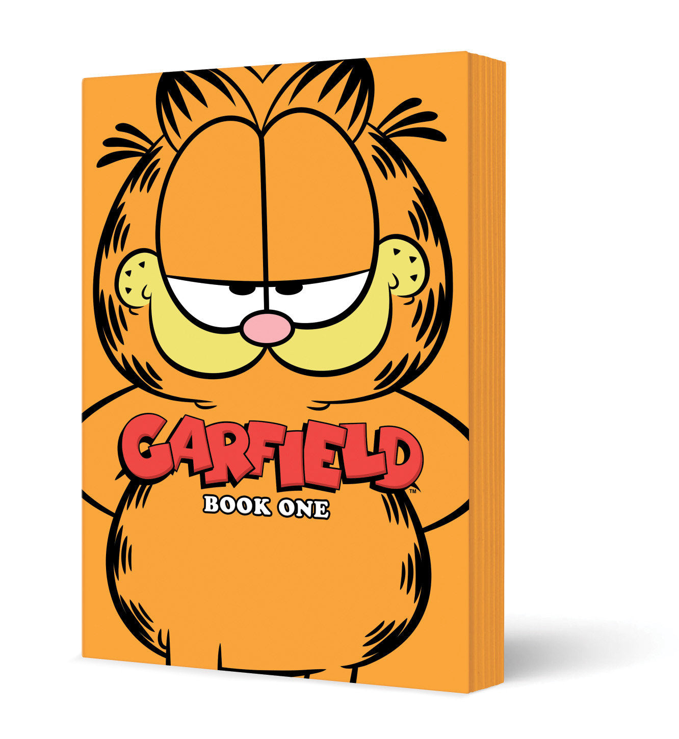 Garfield TPB Book One