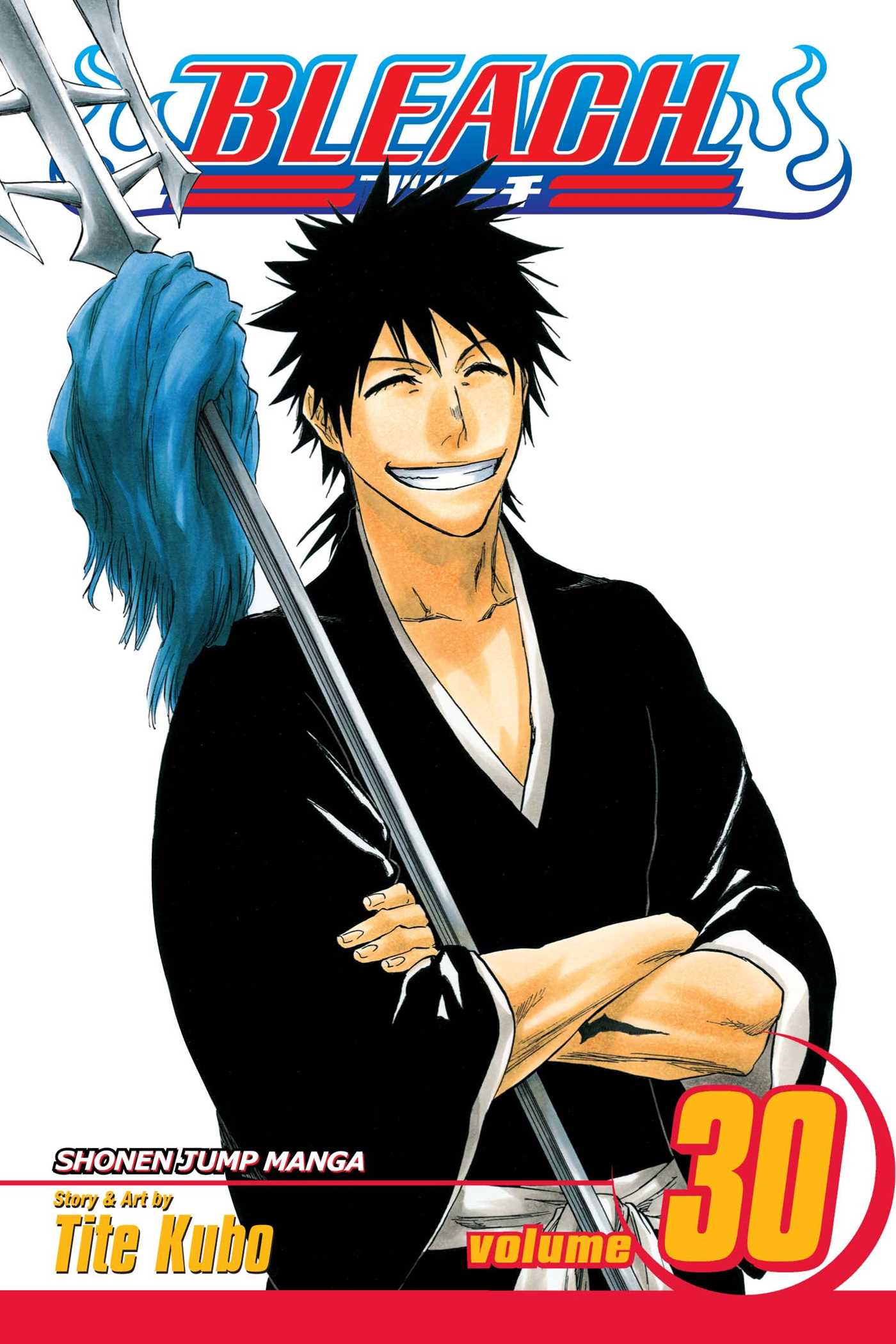 Bleach Manga Volume 30