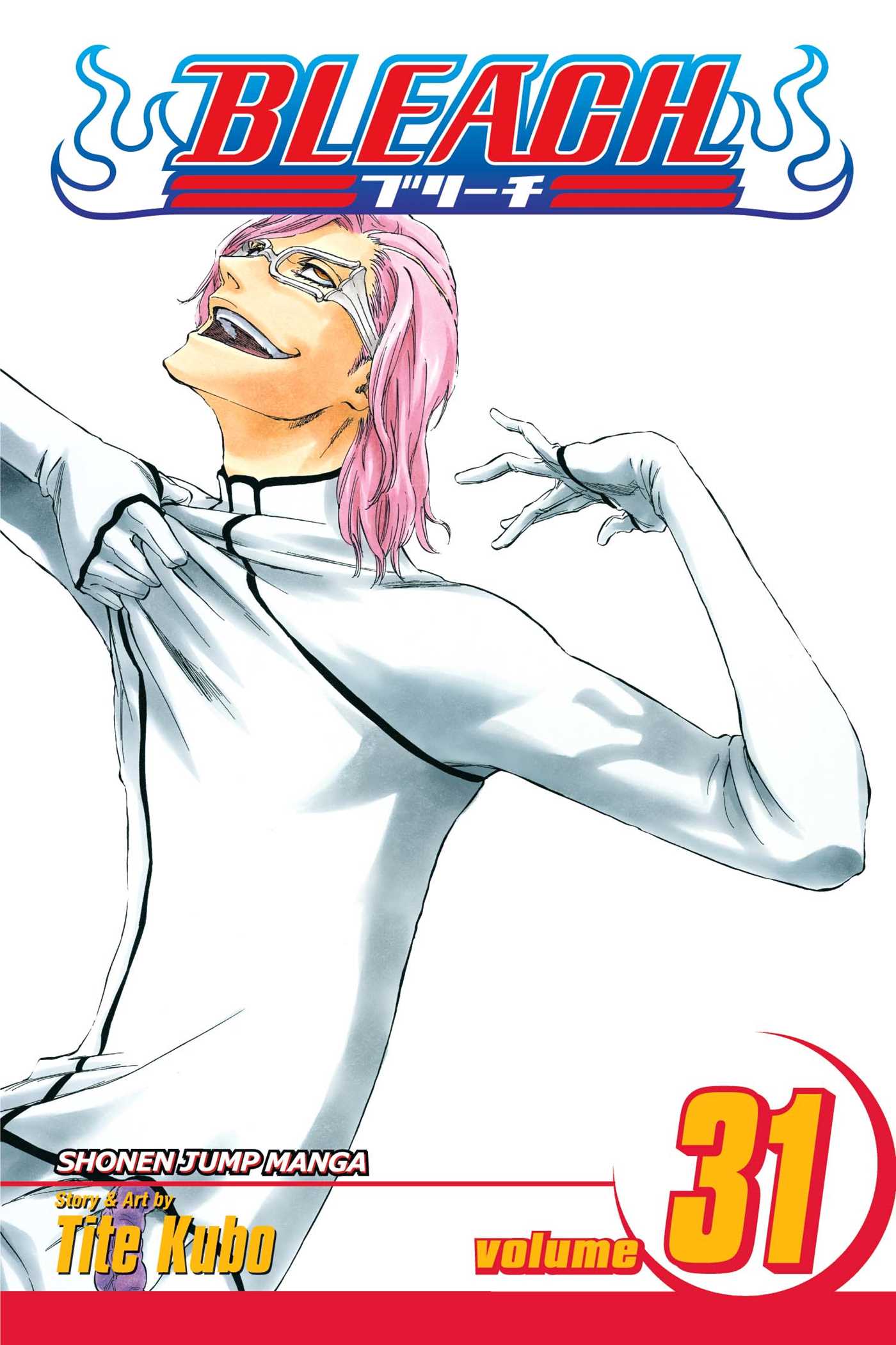 Bleach Manga Volume 31