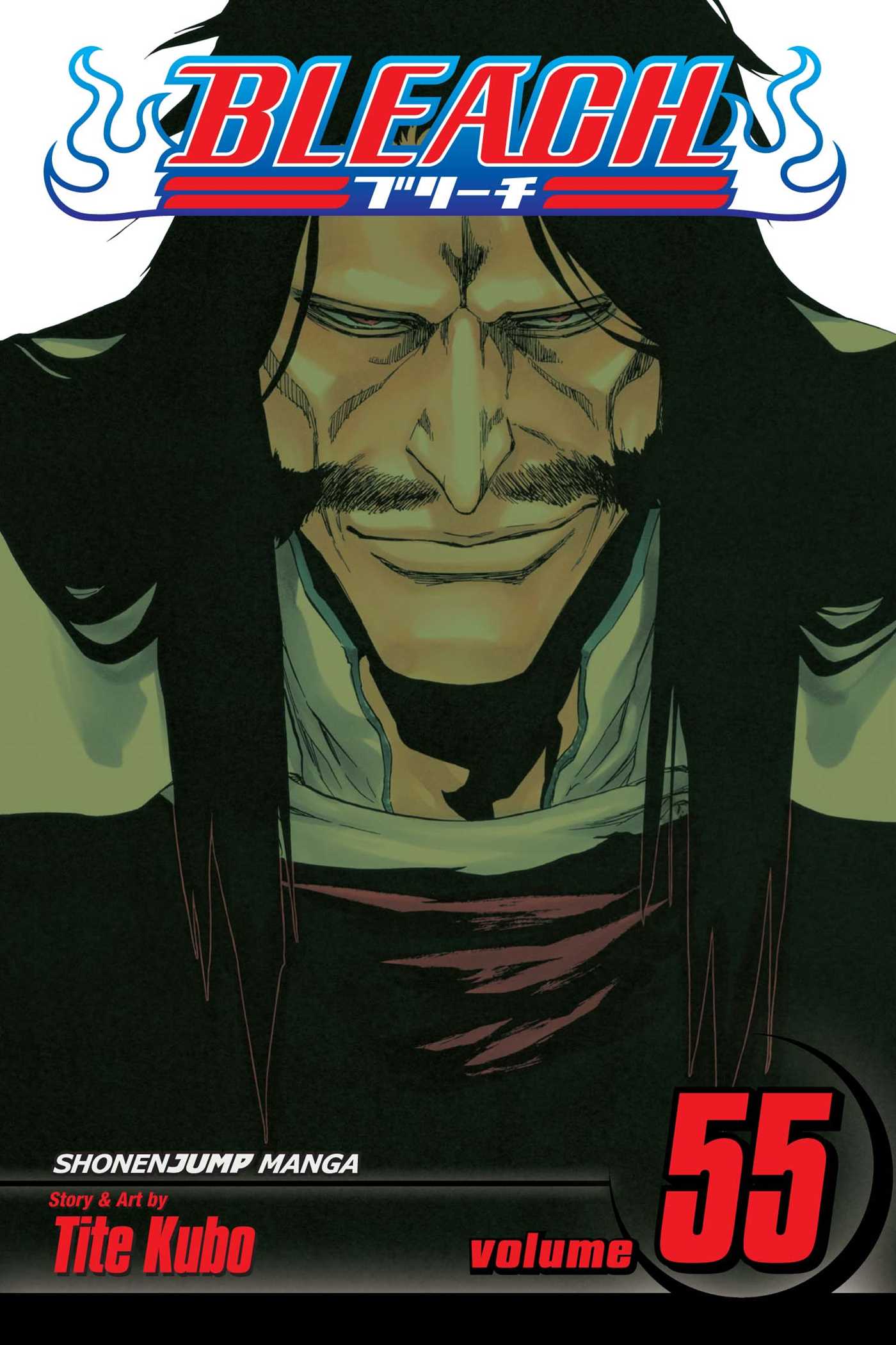 Bleach Manga Volume 55