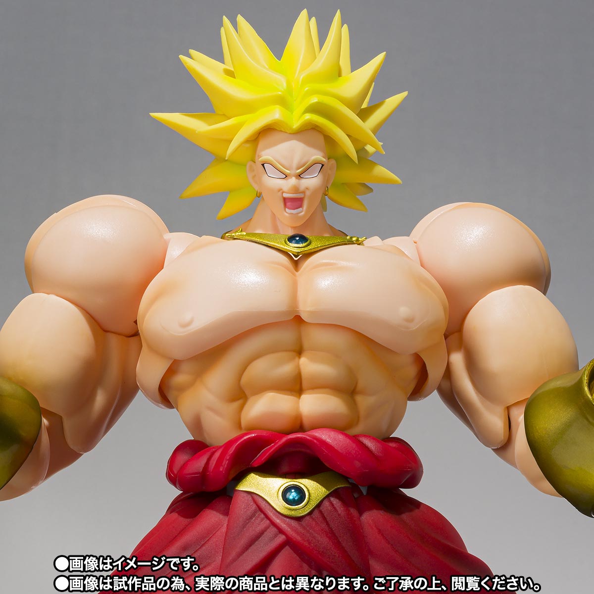 S.H.Figuarts Dragon Ball Z: Broly - 40th Anniversary Reissue Edition - (Premium Bandai Exclusive) Action Figure