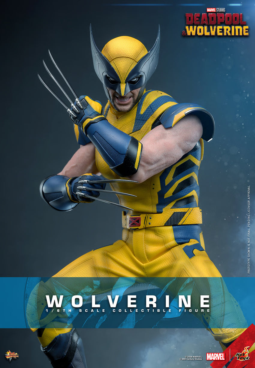 Hot Toys Wolverine 1/6th Collectible Figure