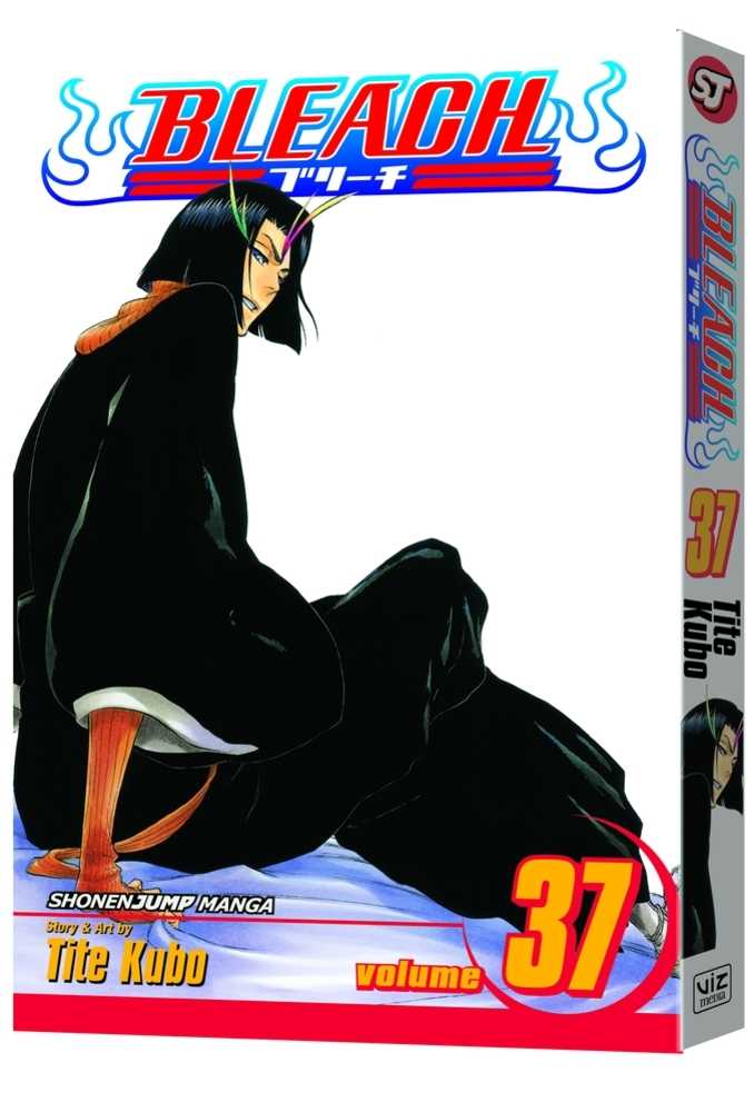 Bleach Manga Volume 37
