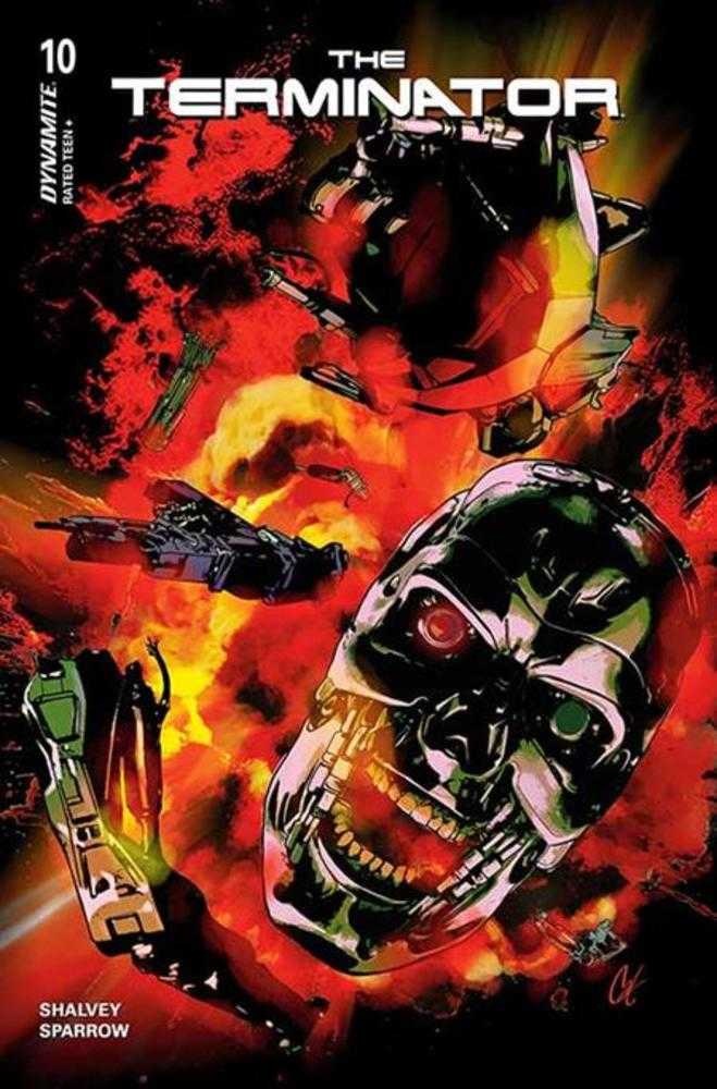 Terminator #10 Cover C Cat Staggs Variant