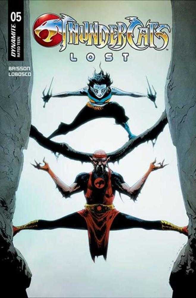 Thundercats Lost #5 Cover E Jae Lee June Chung Variant