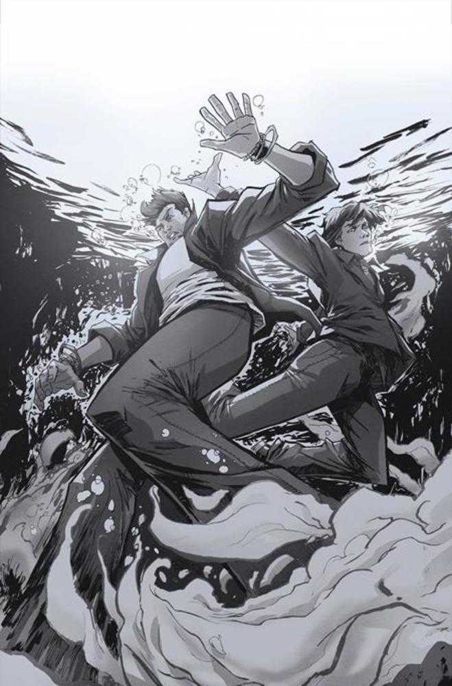 Supernatural #6 Cover H Inc 1:15 David Cousens Art Full Art Variant