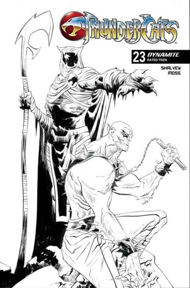 Thundercats #23 Cover M Jae Lee Line Art Foc Bonus Variant