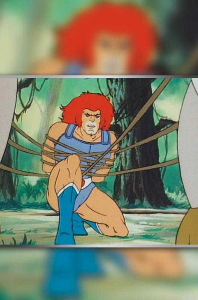 Thundercats X Silverhawks #4 Cover G Inc 1:10 Animation Art Virgin Variant