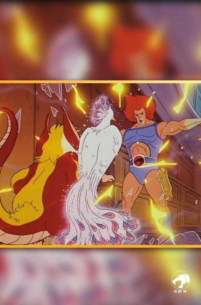 Thundercats X Silverhawks #5 Cover G Inc 1:10 Animation Art Virgin Variant