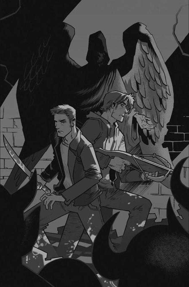 Supernatural #10 Cover K Inc 1:5 John Amor Line Art Full Art Variant