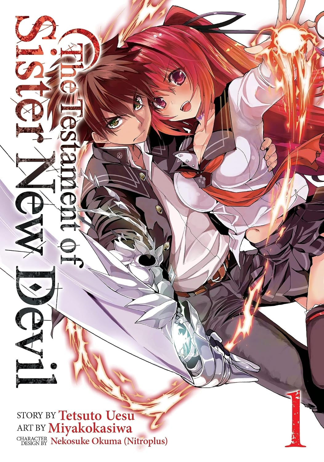 The Testament of Sister New Devil Manga Volume 01 (Mature)
