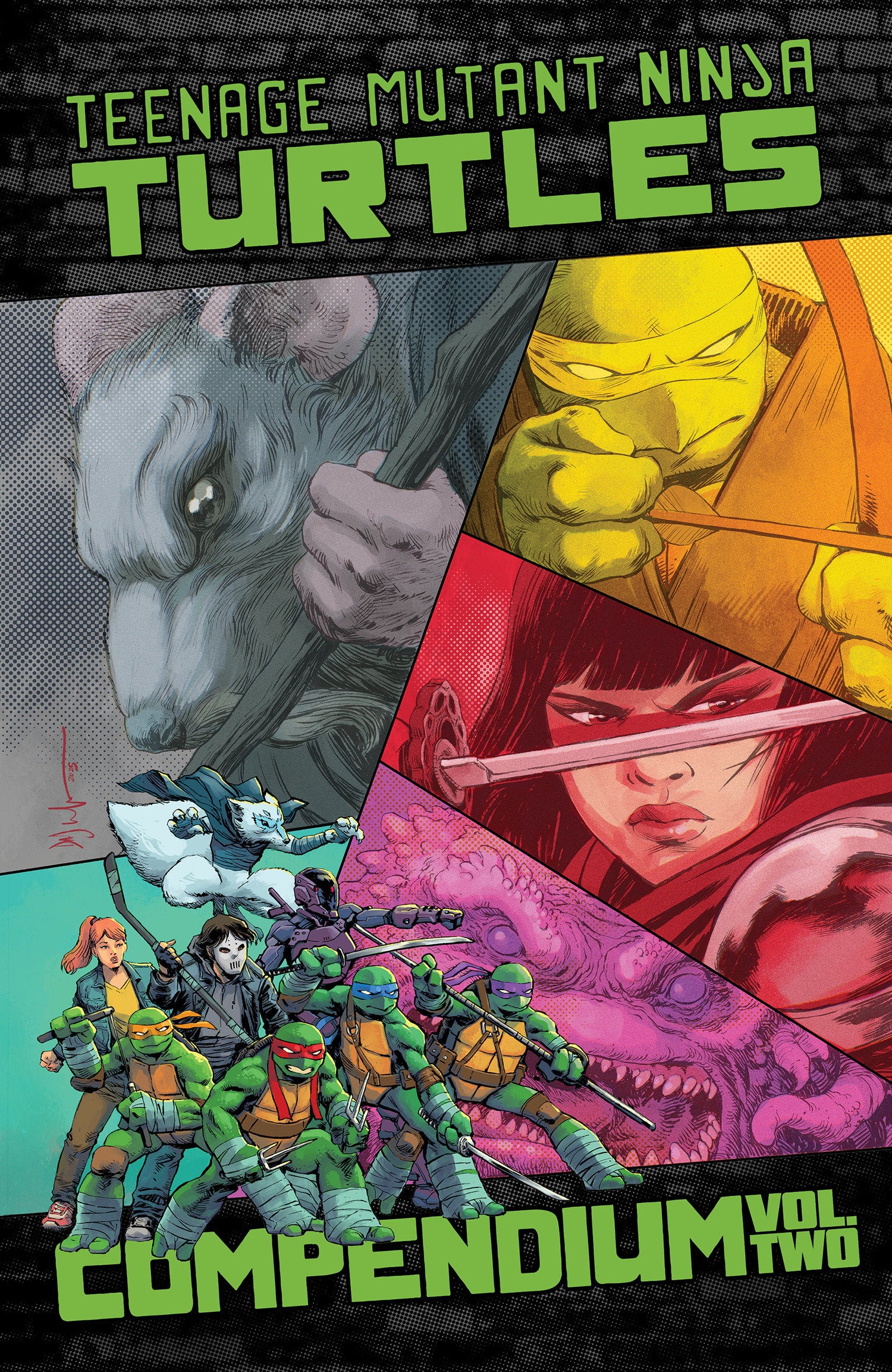 Teenage Mutant Ninja Turtles: Ongoing Compendium TPB Volume 02