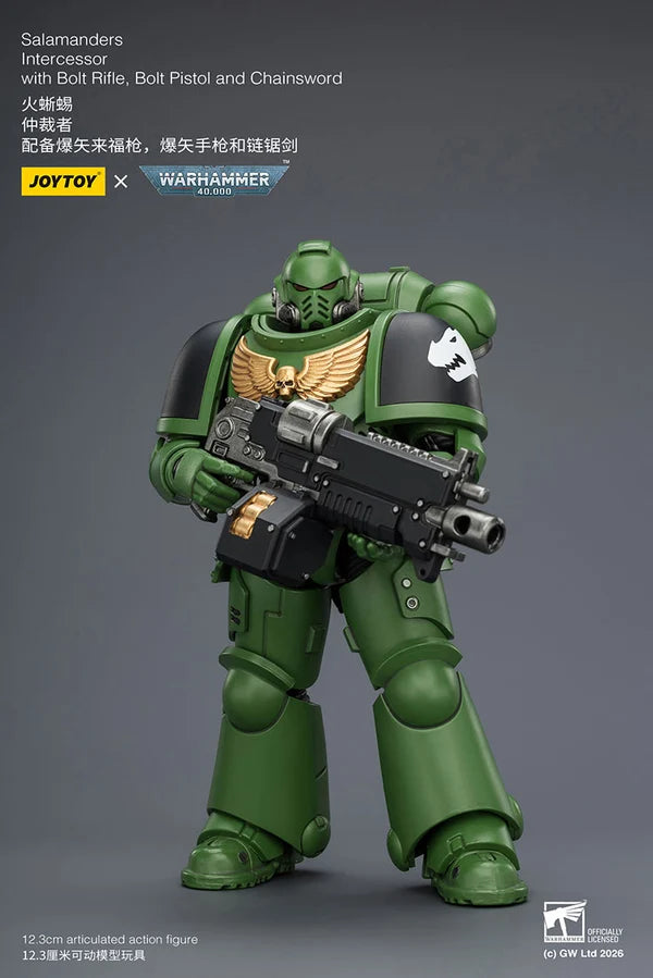 Salamanders Intercessor with Bolt Rifle, Bolt Pistol and Chainsword