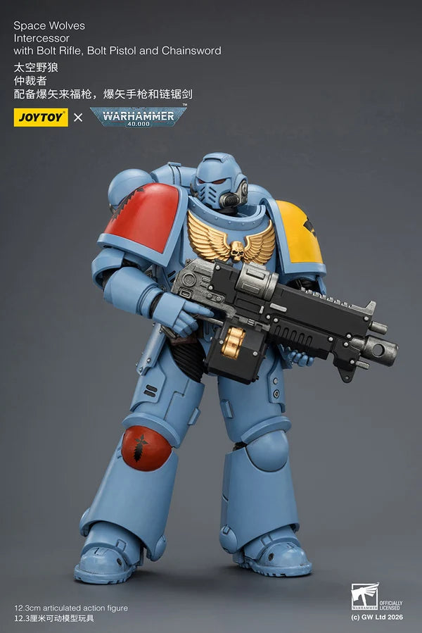 Space Wolves Intercessor with Bolt Rifle, Bolt Pistol and Chainsword