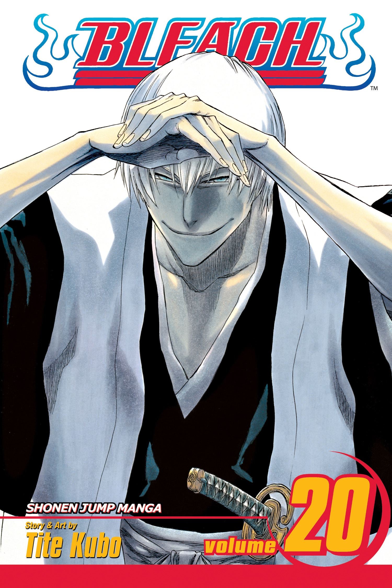 Bleach Manga Volume 20 (New Printing)