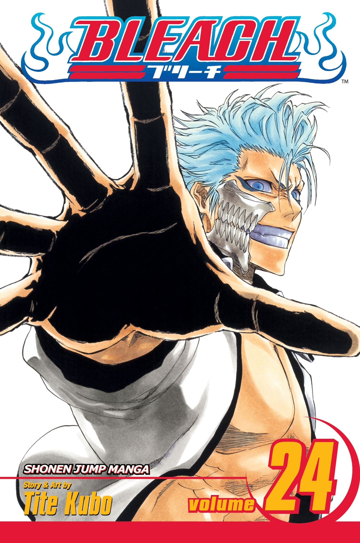 Bleach Manga Volume 24