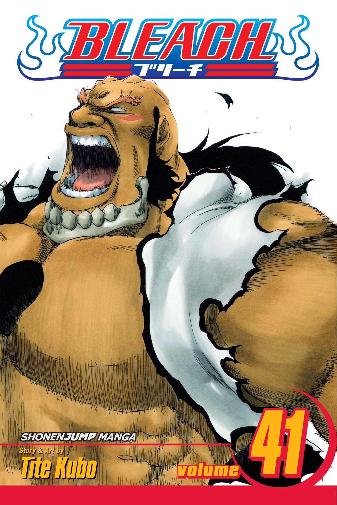 Bleach Manga Volume 41