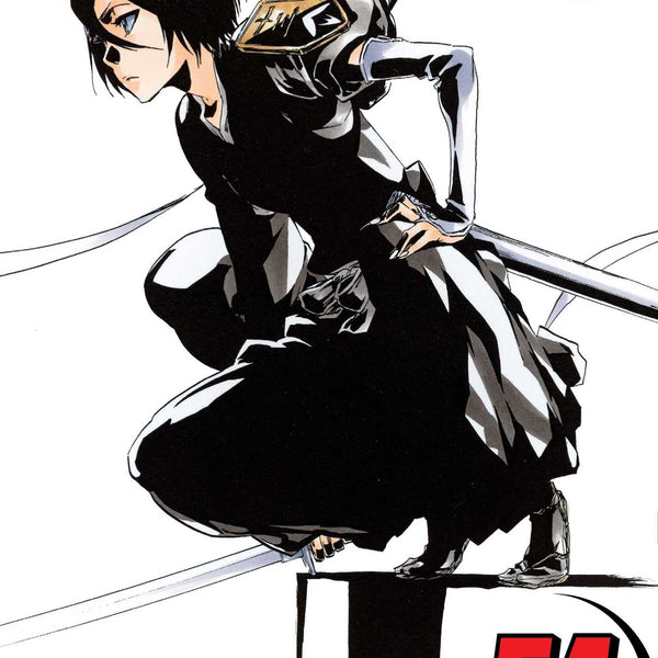 BLEACH　漫画 Bleach Manga Volume 54