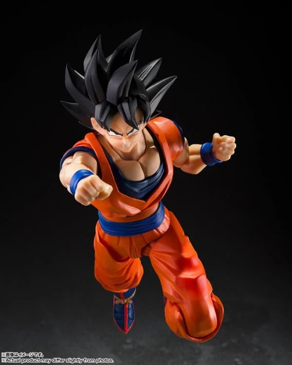 Figuarts SON GOKU <THE KIND-HEARTED SAIYAN> "DRAGON BALL Z"