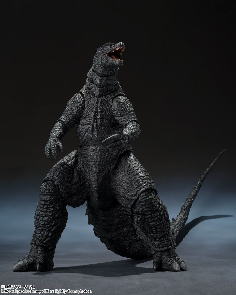 S.H.MonsterArts Godzilla [2014]: Godzilla - Movie Graphic Plus
